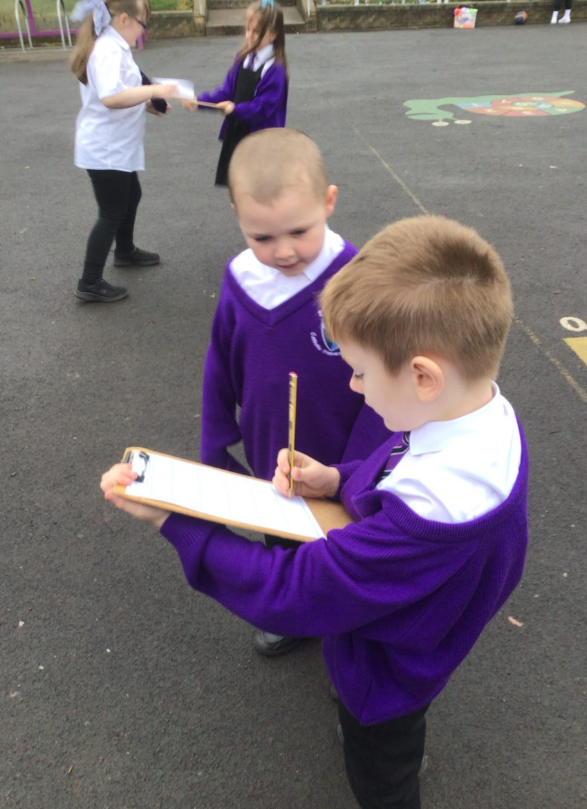 Year 2- Classification walk