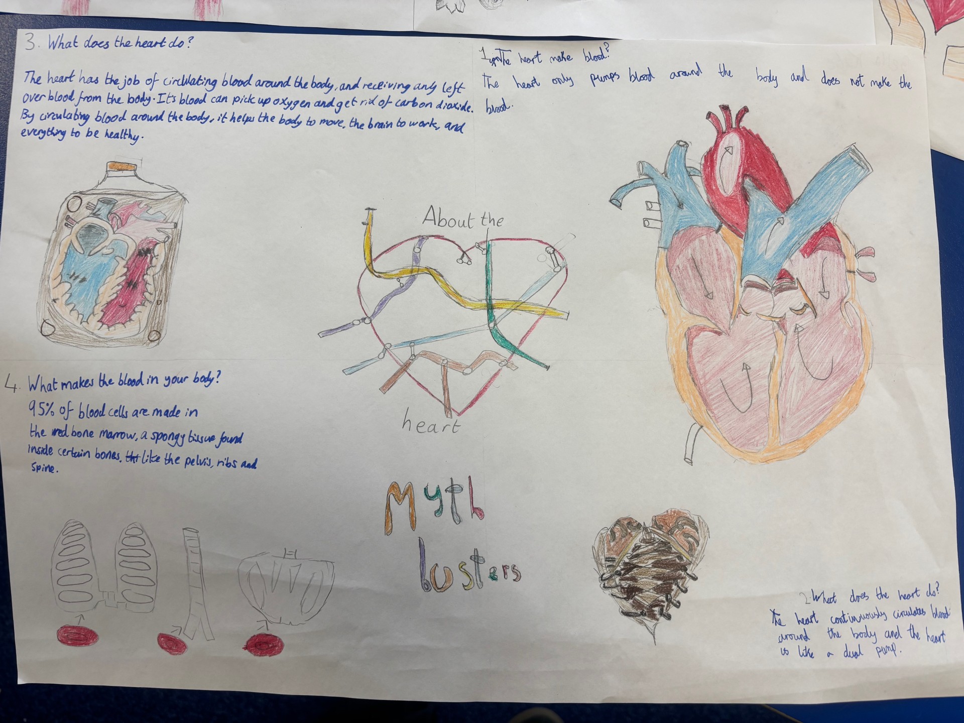 Science Week -Year 6